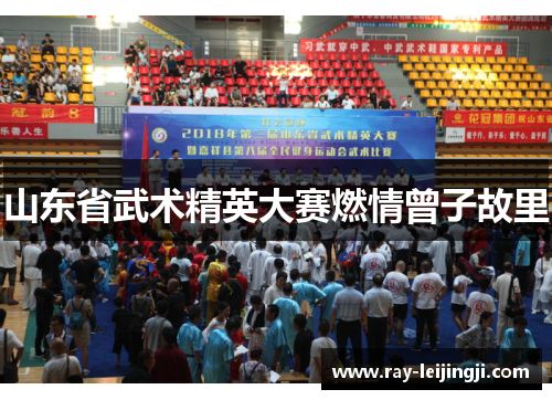 山东省武术精英大赛燃情曾子故里